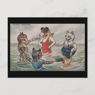 Mixed Bathing - Dog and Cats Postcard