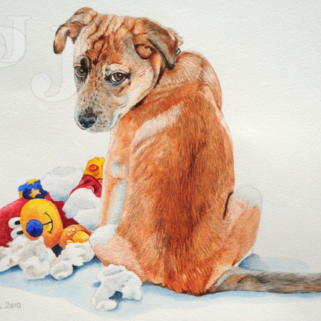 mixed breed dog with teddy cute puppy postcard (Creator Uploaded)