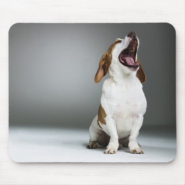 Mixed breed dog yawning, close-up mouse mat (Front)