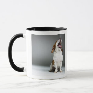 Mixed breed dog yawning, close-up mug