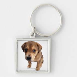 Mixed-Breed Puppy Key Ring