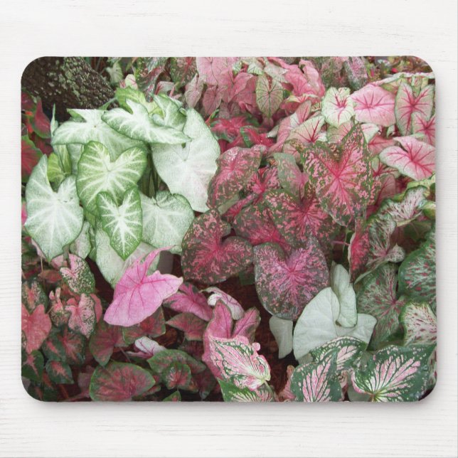 Mixed Caladiums Mouse Mat (Front)