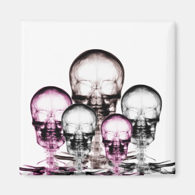 Mixed Colors X-Ray Vision Skeletons Skulls Magnet (Front)