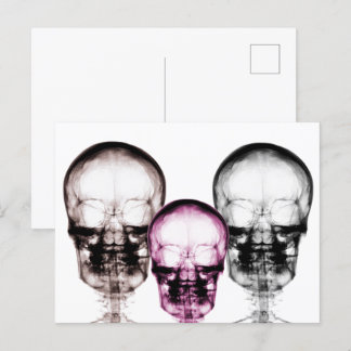 Mixed Colour X-Ray Vision Skeletons Skulls Postcard