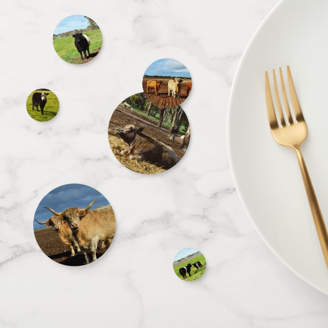 Mixed Cow Images, Confetti (Group)
