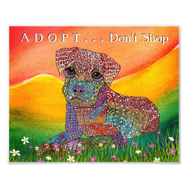 Mixed Dog Breed Adopt Don't  Photo Print (Front)