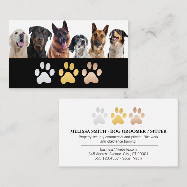 Mixed Dog Breeds | Animal Care Business Card (Front/Back)
