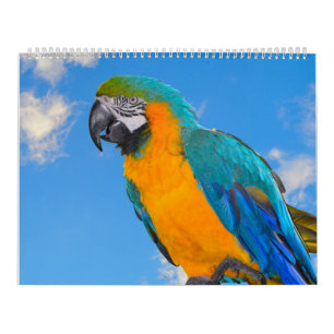 Mixed Parrots Calendar