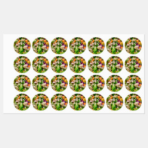 Mixed salad