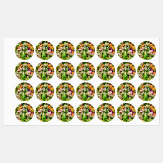 Mixed salad