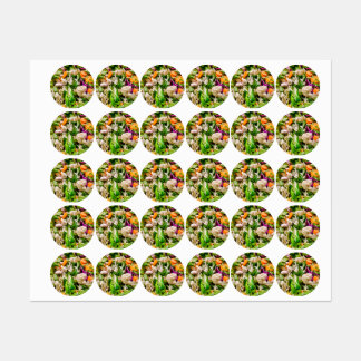 Mixed salad