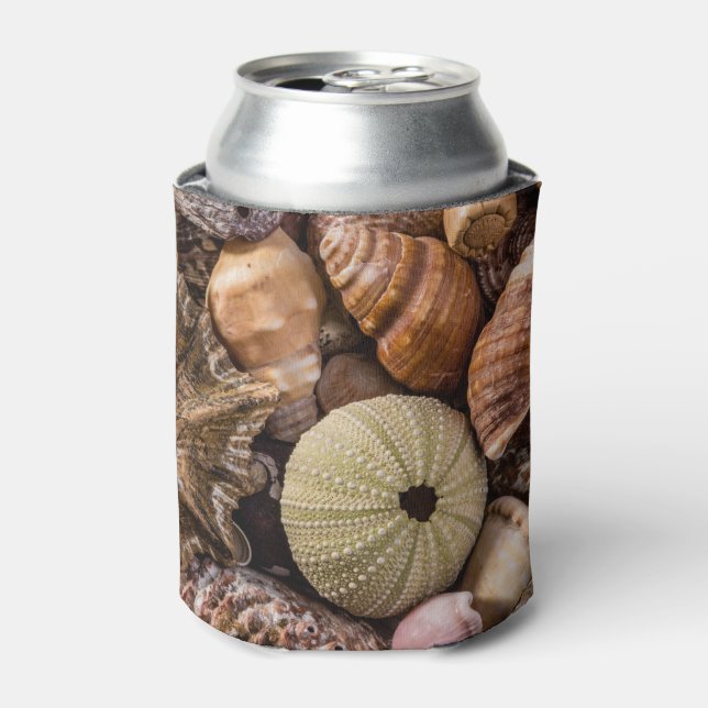 Mixed Sea Shells Can Cooler (Can Front)