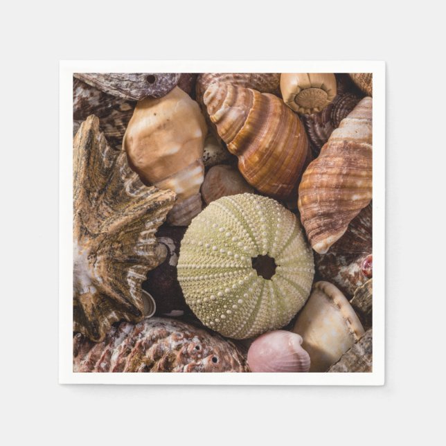 Mixed Sea Shells Cocktail Napkins (Front)
