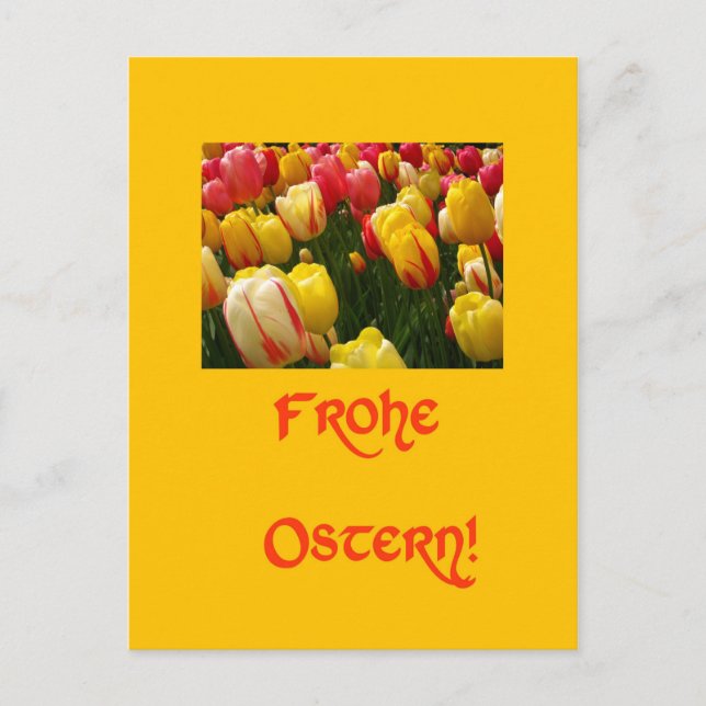 mixed tulips yellow easter greeting in german holiday postcard (Front)