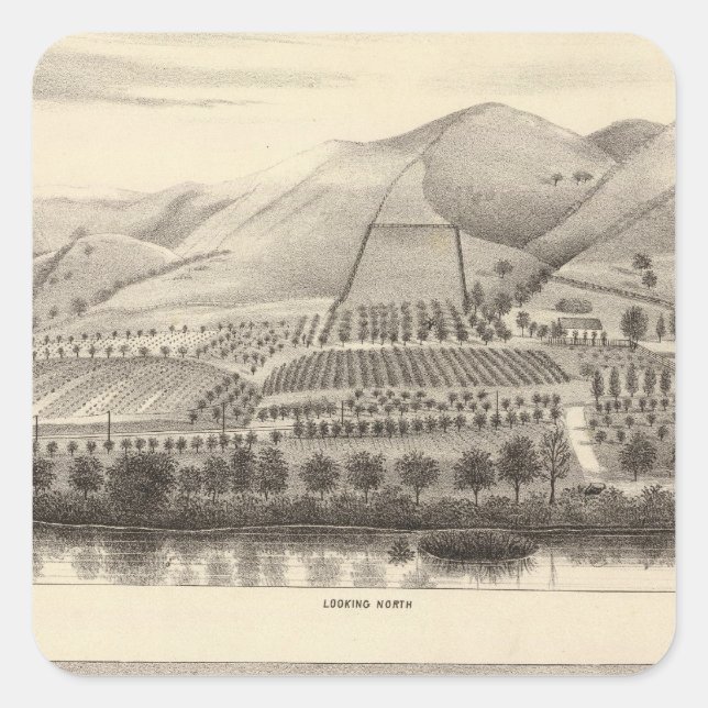 Mizzen Top Rancho Square Sticker (Front)