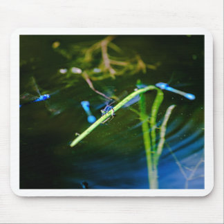 MK2A8136_v01 Mouse Mat