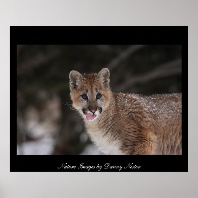 MMM - Poster (Front)