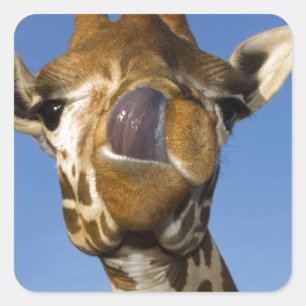 Mmmm Mmmmm Good Square Sticker