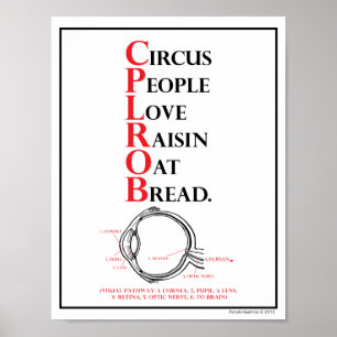 Mnemonic: Circus People Love = Visual Path Poster