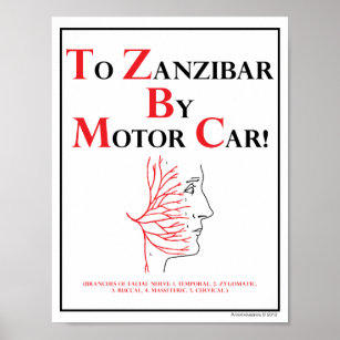 Mnemonic: To Zanzibar By Motor Car Poster