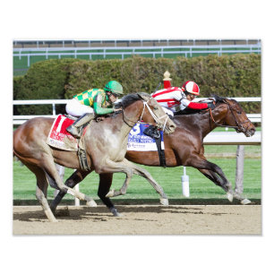 Mo Donegal Photo Print