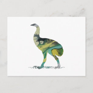 Moa Bird Art Postcard