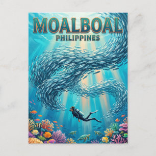 Moalboal Sardine Run Philippines Postcard