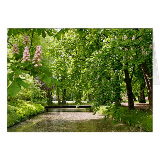 Moat in Denmark (Front Horizontal)