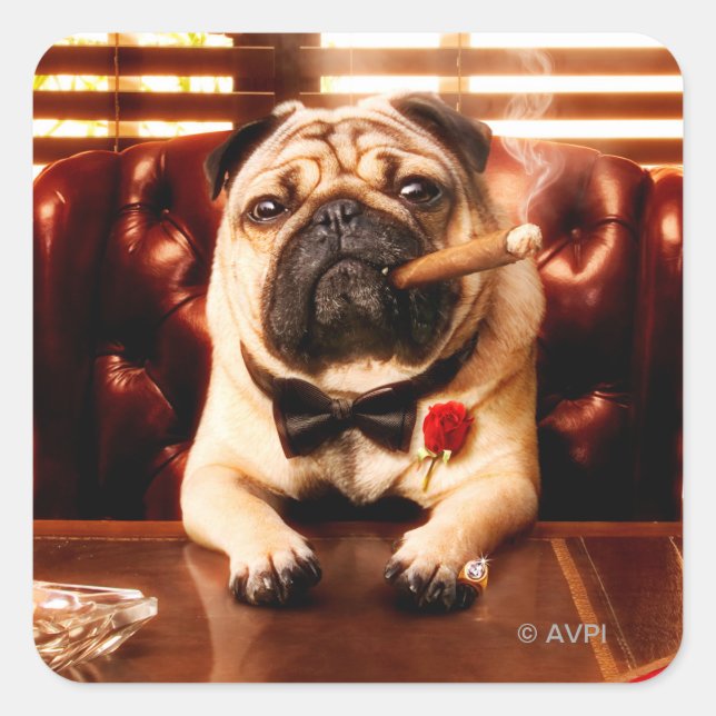 Mobster Dog Square Sticker (Front)