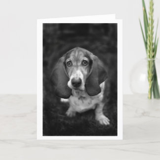 mocca the basset card