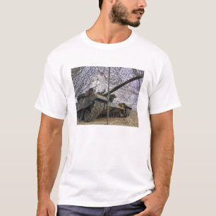 Mock aggressors from Republic of Korea 2 T-Shirt