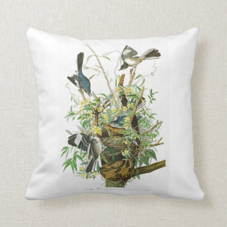 Mocking Bird John James Audubon Birds of America Cushion