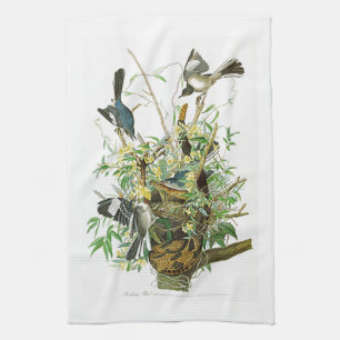 Mocking Bird John James Audubon Birds of America Tea Towel