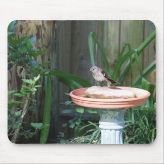 Mockingbird at Birdbath Mouse Mat