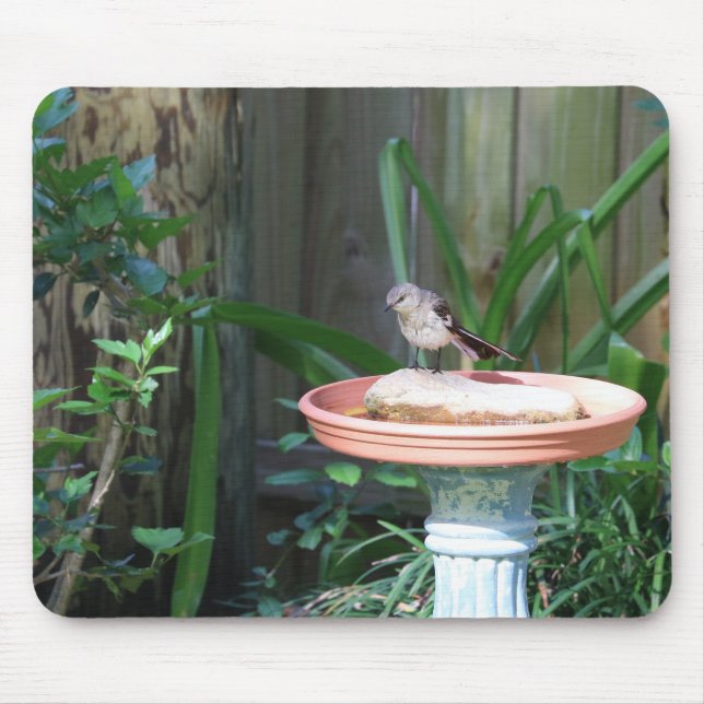Mockingbird at Birdbath Mouse Mat (Front)