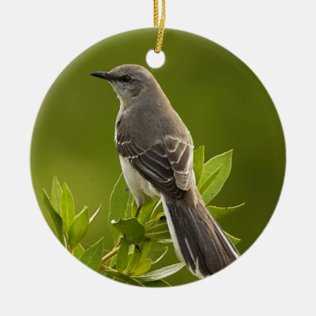 Mockingbird Bird Lovers Gifts Ceramic Tree Decoration (Front)