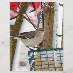 Mockingbird Custom Letterhead