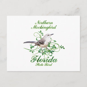 Mockingbird Florida State Bird Postcard