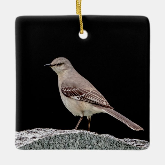 Mockingbird on a tombstone ceramic ornament (Front)