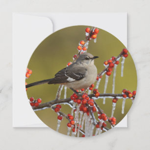 Mockingbird Perched on Icy Holly Branch Holiday Card