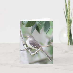Mockingbird Photo Folded Note Card