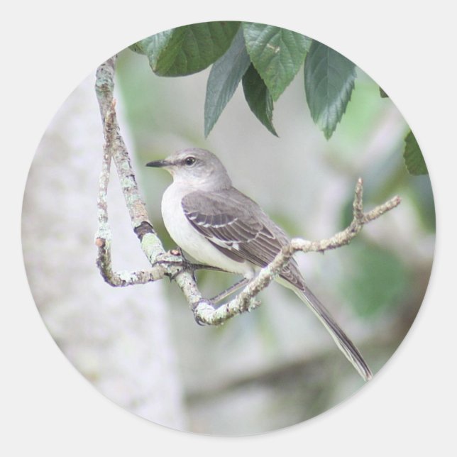 Mockingbird Round Stickers (Front)