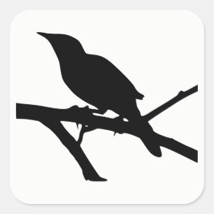 Mockingbird Silhouette Square Sticker
