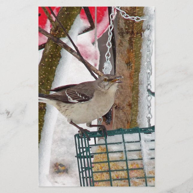 Mockingbird Stationery (Front)