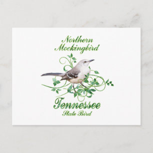 Mockingbird Tennessee State Bird Postcard