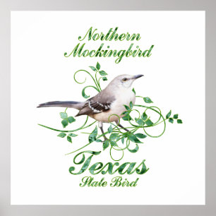 Mockingbird Texas State Bird Poster