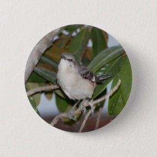 Mockingbutton - Northern Mockingbird on Magnolia 6 Cm Round Badge