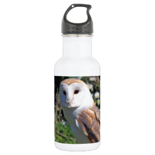 Mod Chic Classy Destiny Owl 532 Ml Water Bottle
