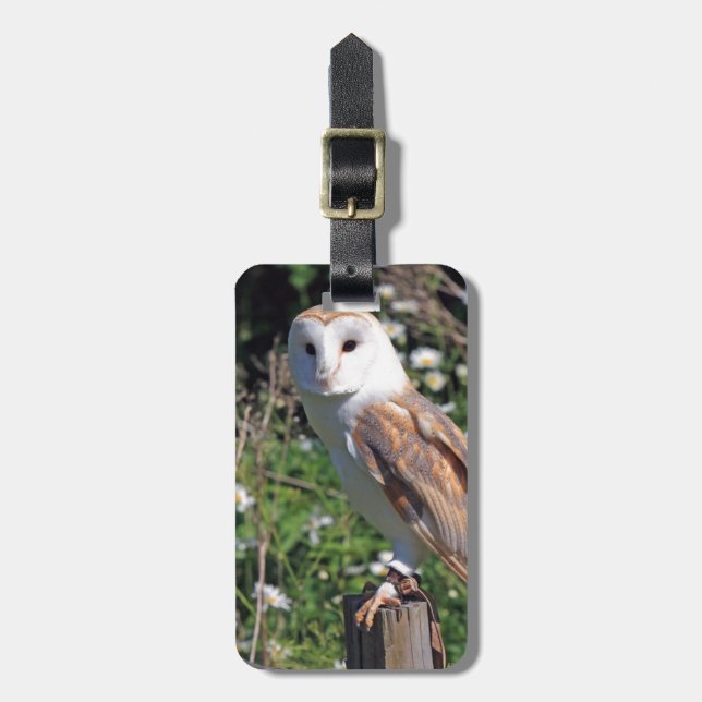 Mod Chic Classy Destiny Owl Luggage Tag (Front Vertical)