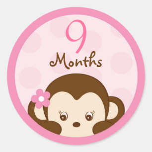 Mod Girl Monkey Monthly Milestone Stickers